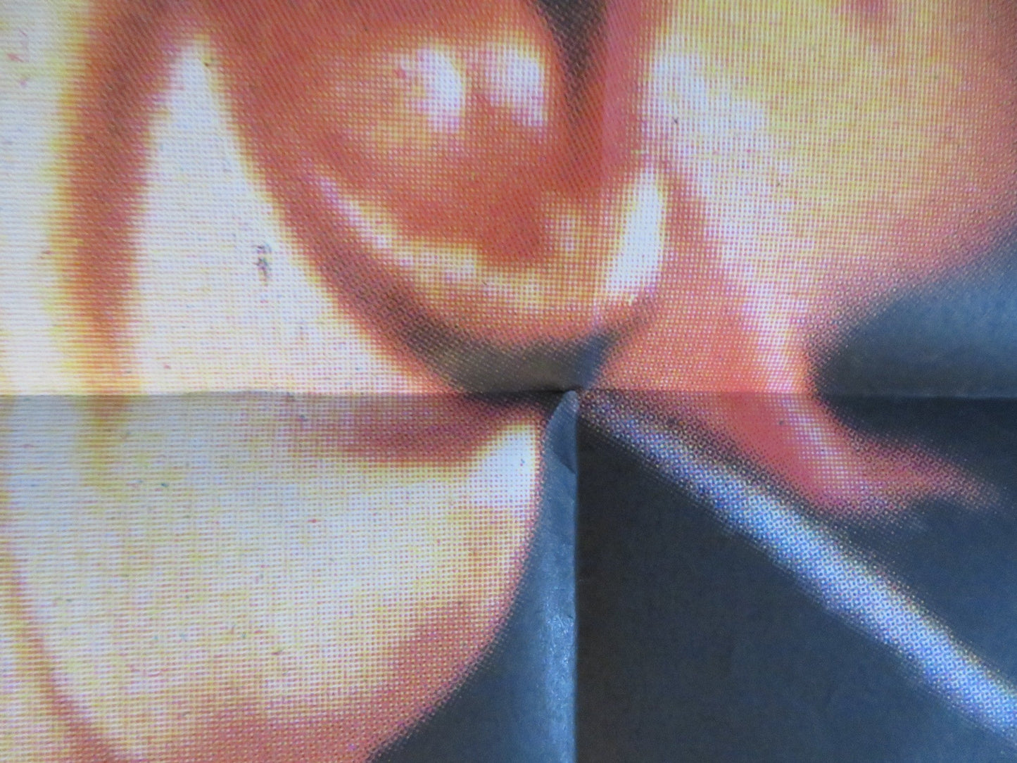 CHA CHA ITALIAN 2 FOGLIO POSTER NINA HAGEN HERMAN BROOD 1979 Rendezvous Cinema Movie posters