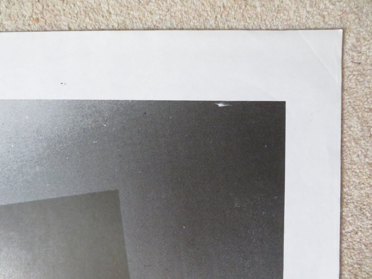 CHA CHA ITALIAN 2 FOGLIO POSTER NINA HAGEN HERMAN BROOD 1979 Rendezvous Cinema Movie posters