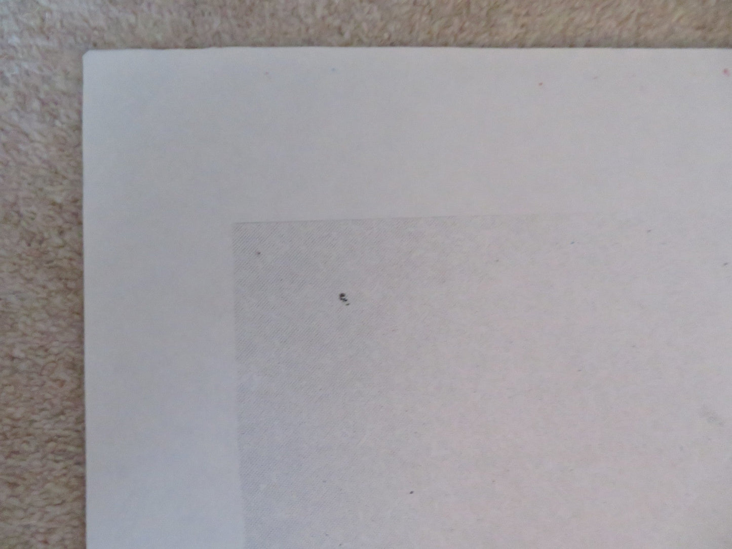 CHA CHA ITALIAN 2 FOGLIO POSTER NINA HAGEN HERMAN BROOD 1979 Rendezvous Cinema Movie posters