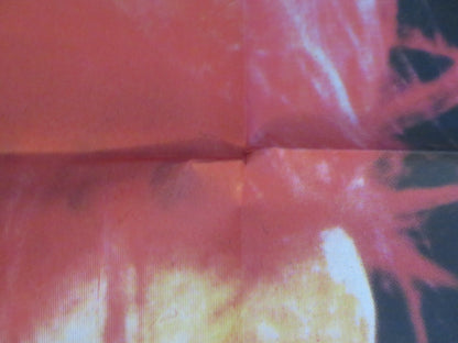 CHA CHA ITALIAN 2 FOGLIO POSTER NINA HAGEN HERMAN BROOD 1979 Rendezvous Cinema Movie posters