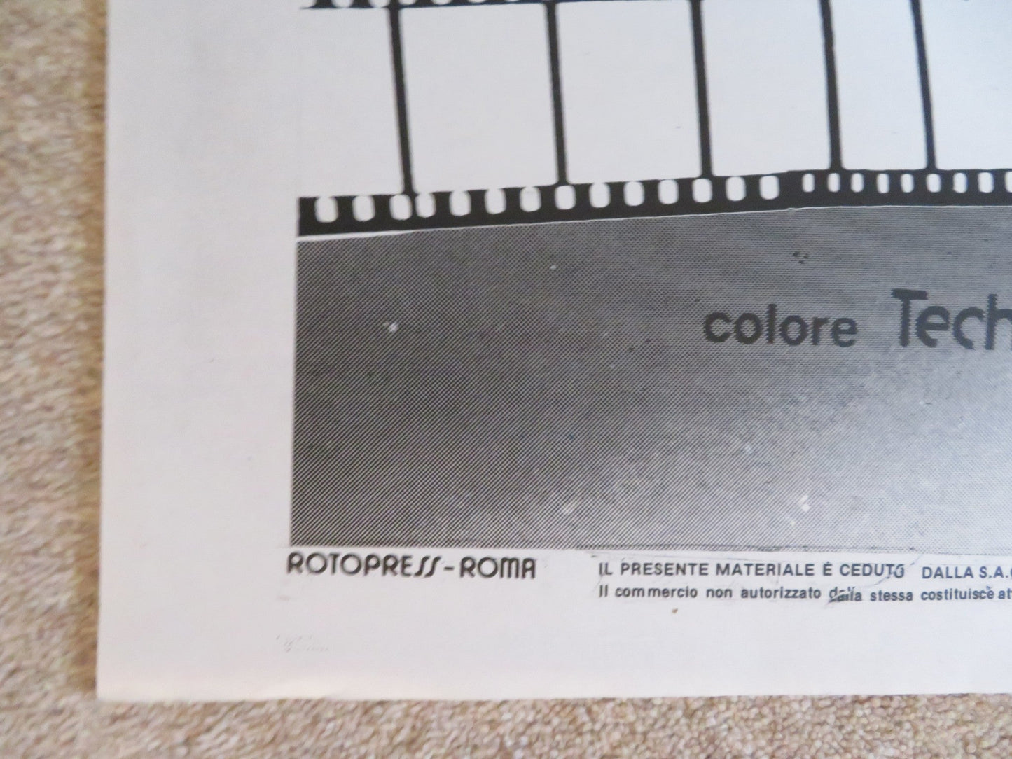 CHA CHA ITALIAN 2 FOGLIO POSTER NINA HAGEN HERMAN BROOD 1979 Rendezvous Cinema Movie posters