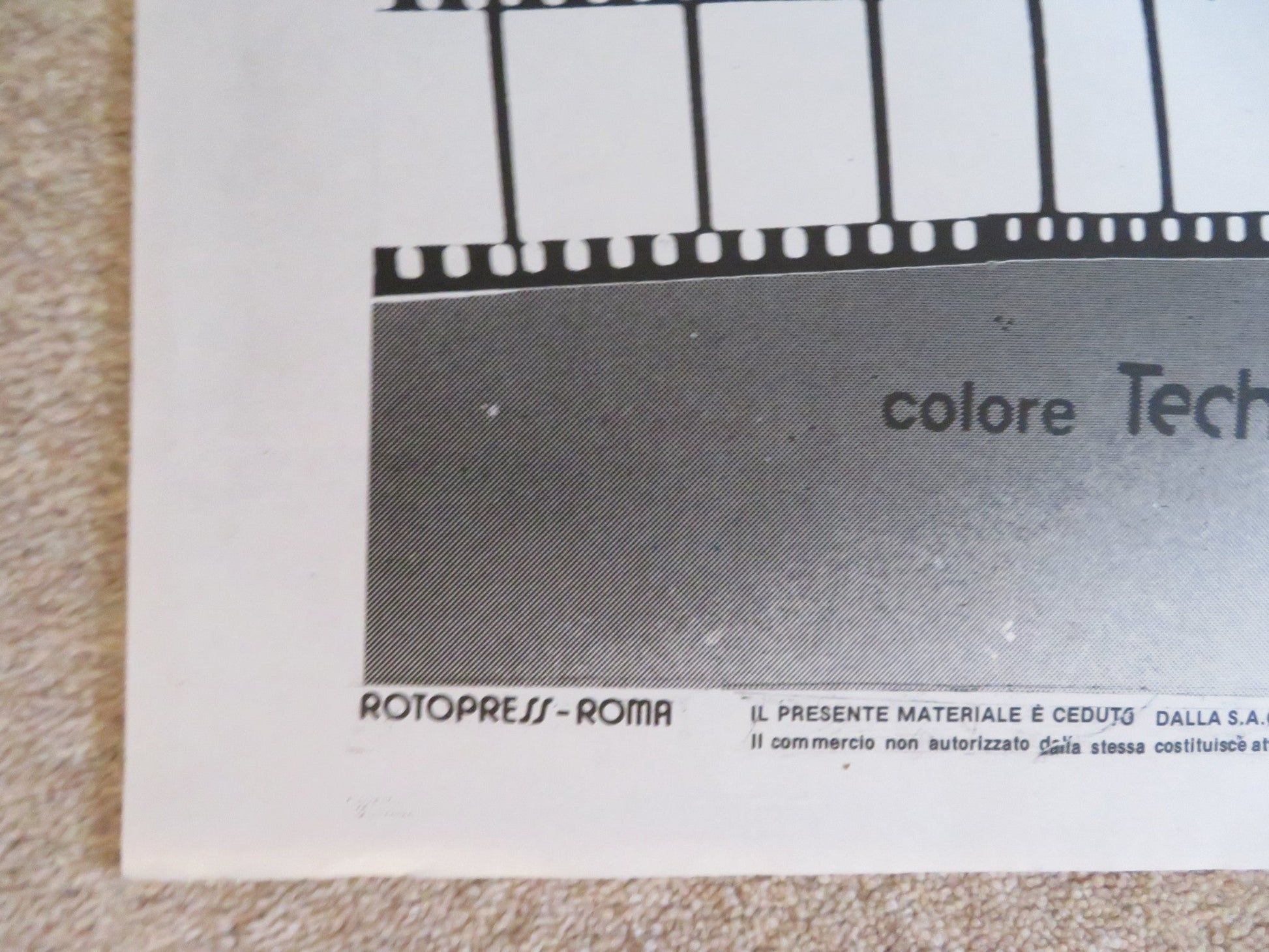 CHA CHA ITALIAN 2 FOGLIO POSTER NINA HAGEN HERMAN BROOD 1979 Rendezvous Cinema Movie posters