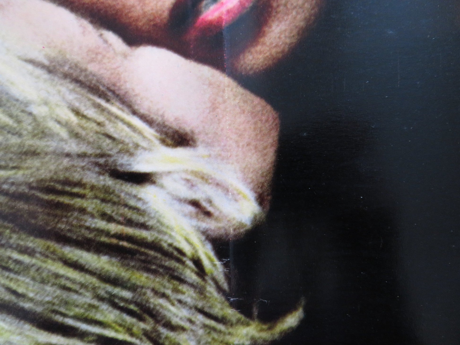 CHAPPAQUA - B ITALIAN FOTOBUSTA POSTER CONRAD ROOKS JEAN LOUIS BARRAULT 1968 Rendezvous Cinema Movie posters