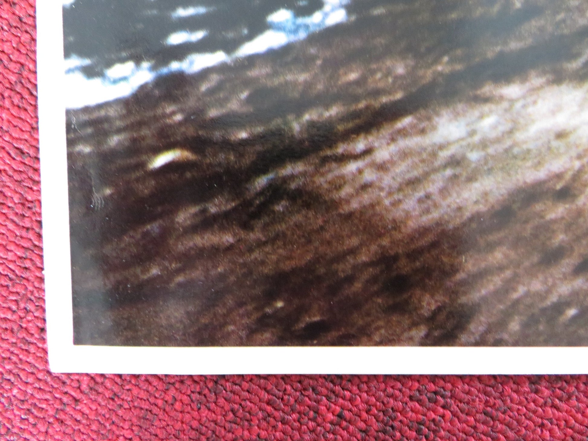 CHAPPAQUA - F ITALIAN FOTOBUSTA POSTER CONRAD ROOKS JEAN LOUIS BARRAULT 1968 Rendezvous Cinema Movie posters