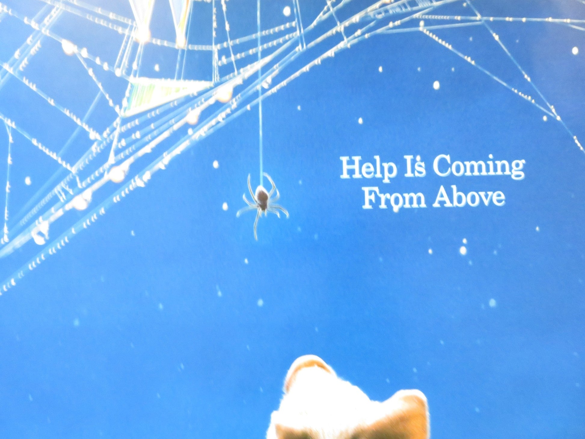 CHARLOTTE'S WEB UK QUAD (30"x 40") ROLLED POSTER DAKOTA FANNING J. ROBERTS 2006 Rendezvous Cinema Movie posters