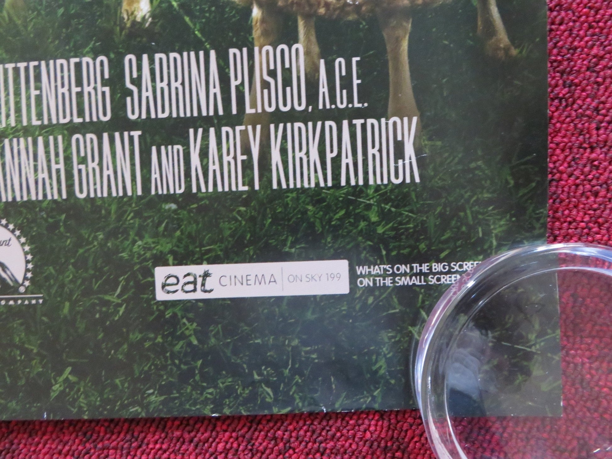 CHARLOTTE'S WEB UK QUAD (30"x 40") ROLLED POSTER DAKOTA FANNING J. ROBERTS 2006 Rendezvous Cinema Movie posters