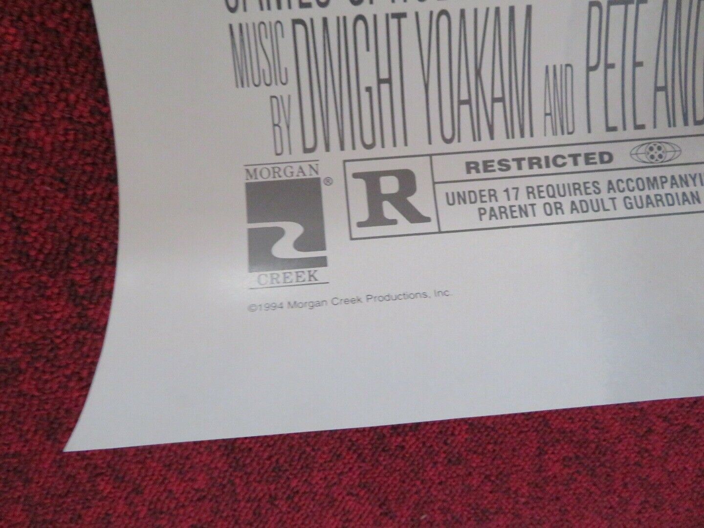 CHASERS US ONE SHEET ROLLED POSTER ERIKA ELENIAK TOM BERENGER 1994 Movie posters