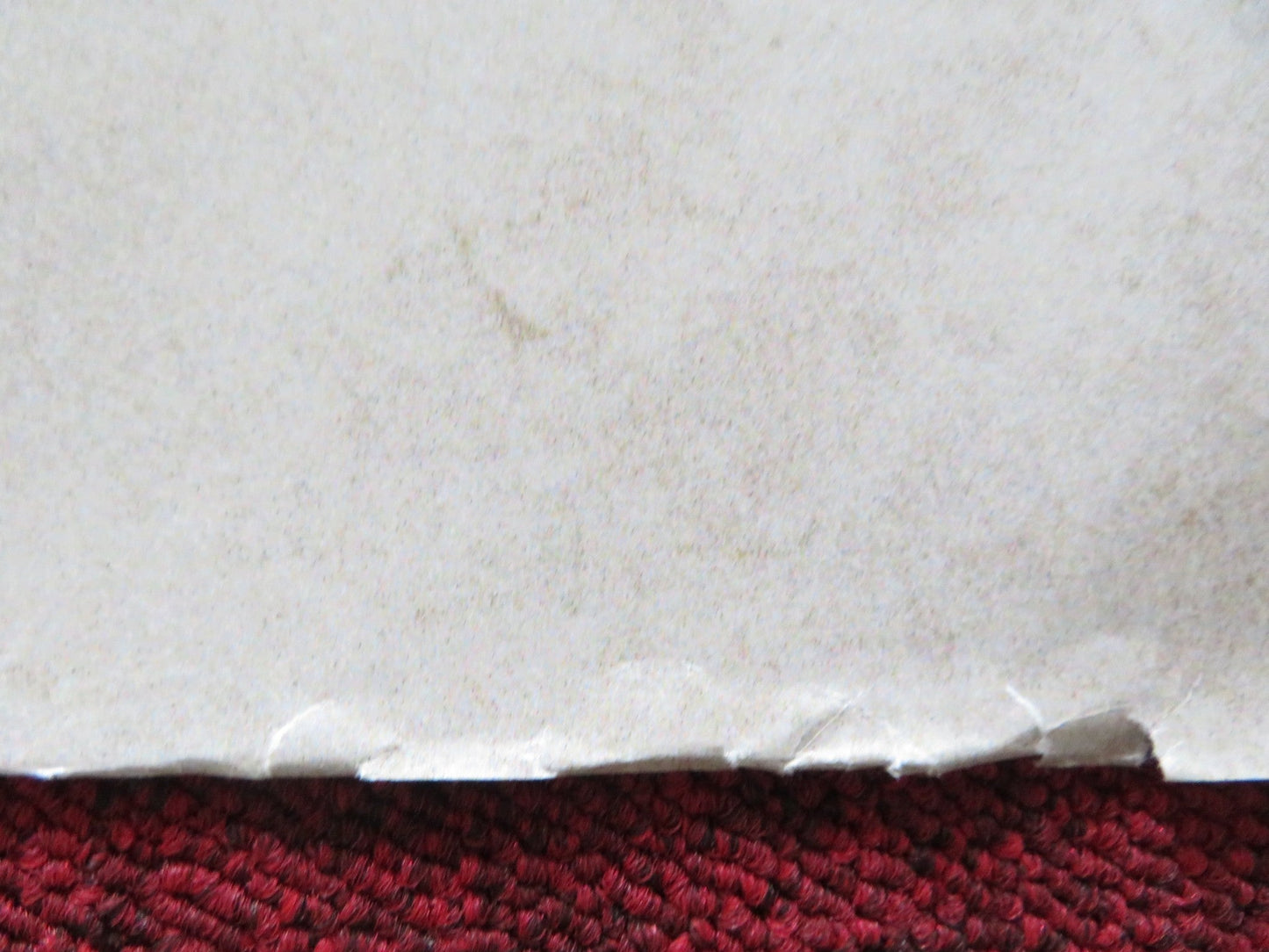 CHERRY TREE UK QUAD (30"x 40") ROLLED POSTER ANNA WALTON NAOMI BATTRICK 2015 Rendezvous Cinema Movie posters