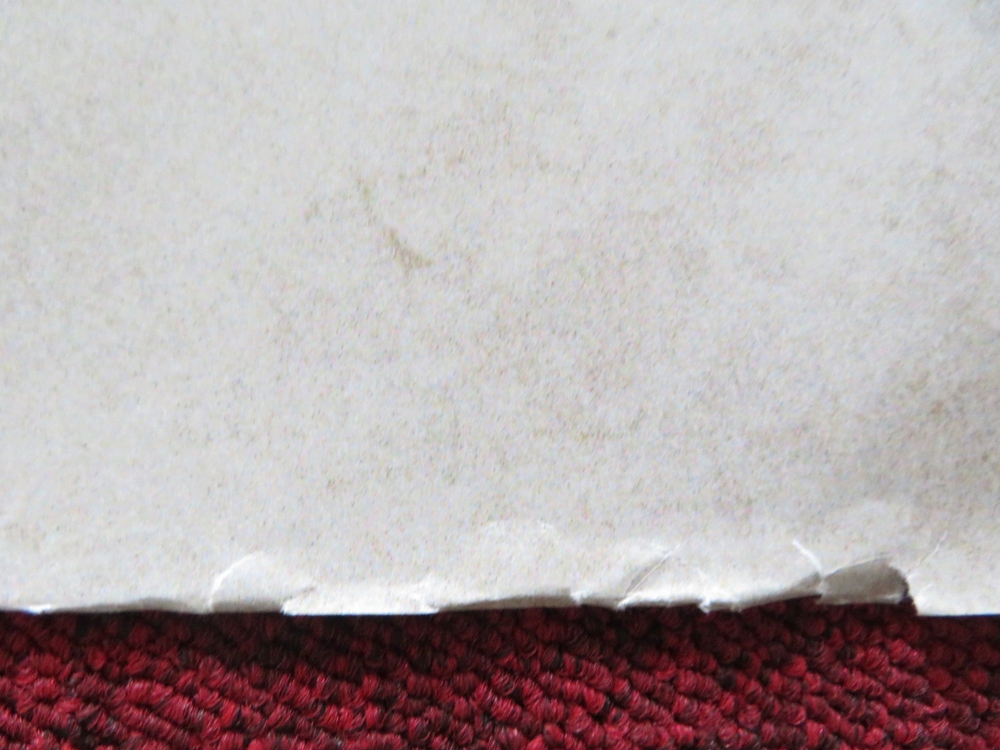 CHERRY TREE UK QUAD (30"x 40") ROLLED POSTER ANNA WALTON NAOMI BATTRICK 2015 Rendezvous Cinema Movie posters