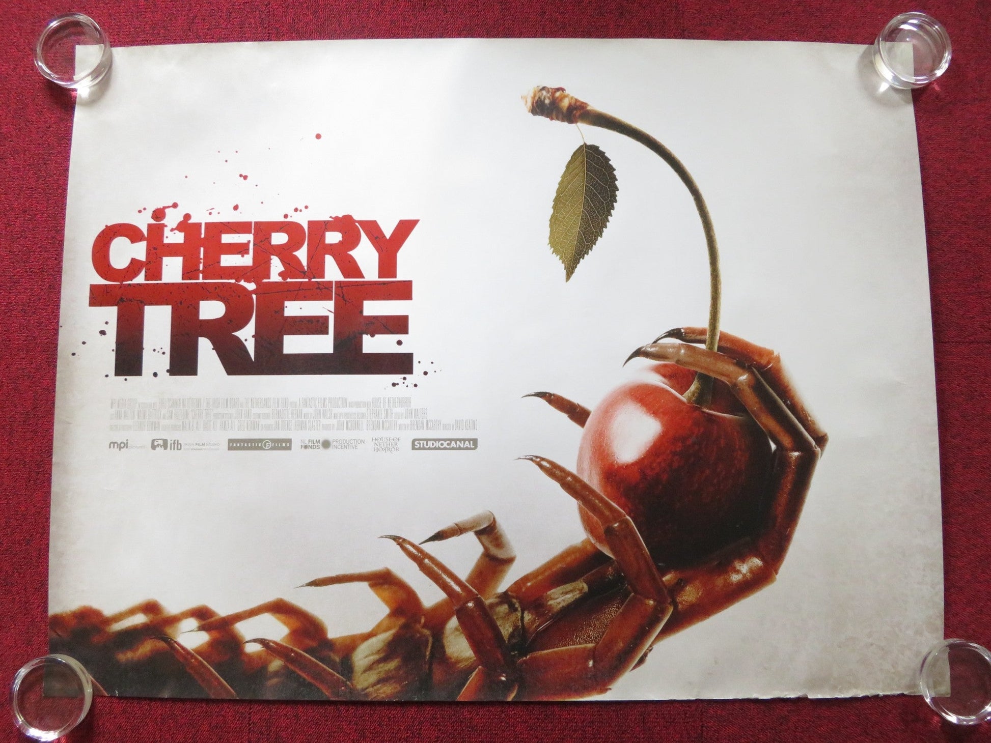 CHERRY TREE UK QUAD (30"x 40") ROLLED POSTER ANNA WALTON NAOMI BATTRICK 2015 Rendezvous Cinema Movie posters