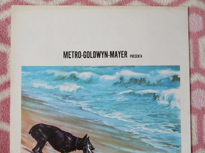 CHI HA UCCISO JENNY? ITALIAN LOCANDINA (27.5"x12") POSTER JAMES GARNER 1973 Movie posters