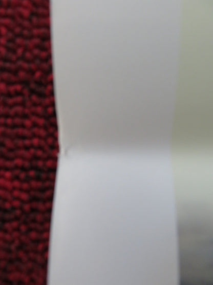 CHI SALVERA LE ROSE ITALIAN LOCANDINA POSTER CARLO DELLE PIANE C. MURINO 2017 Rendezvous Cinema Movie posters