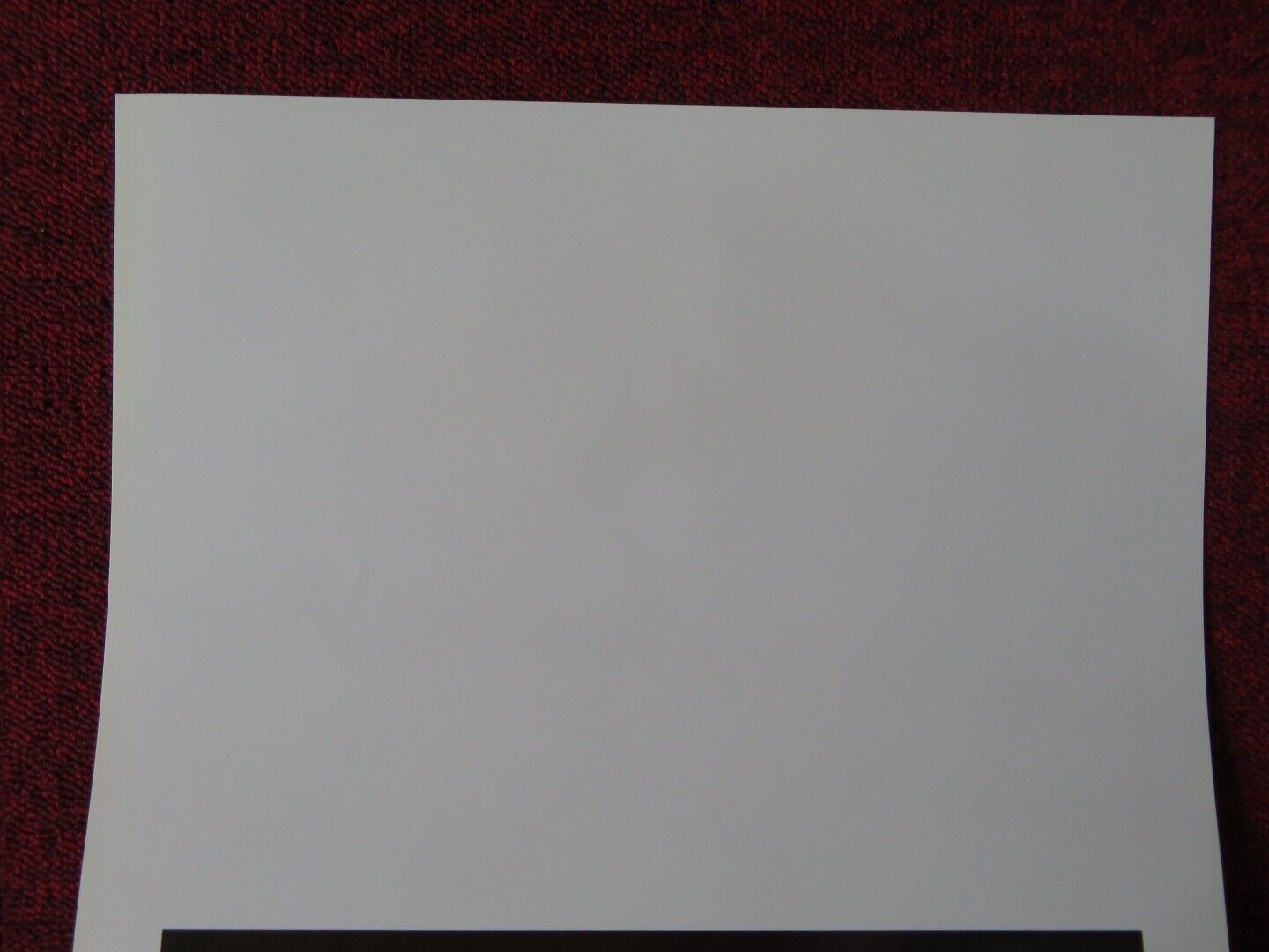 CHIAMAMI SALOME ITALIAN LOCANDINA (27.5"x13") POSTER CLAUDIO SESTIERI 2006 Movie posters