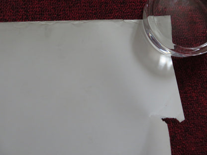 CHICKEN LITTLE UK QUAD (30"x 40") ROLLED POSTER ZACH BRAFF GARRY MARSHALL 2005 Rendezvous Cinema Movie posters