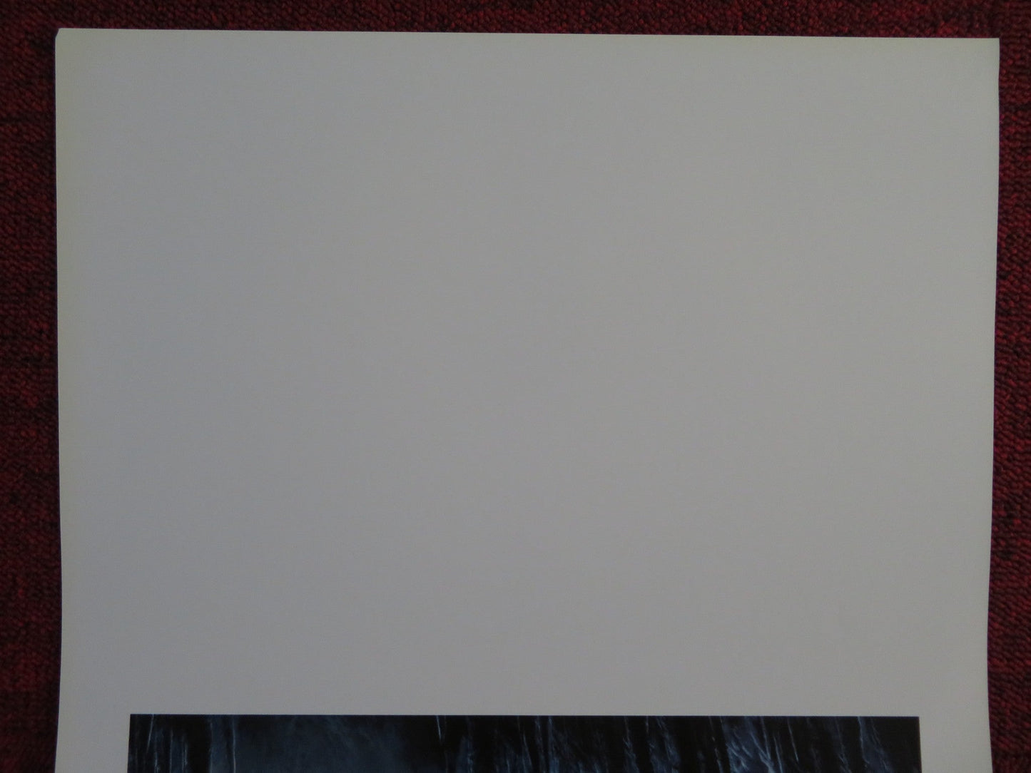 CITY OF EMBER ITALIAN LOCANDINA POSTER SAOIRSE RONAN HARRY TREADAWAY 2008 Rendezvous Cinema Movie posters