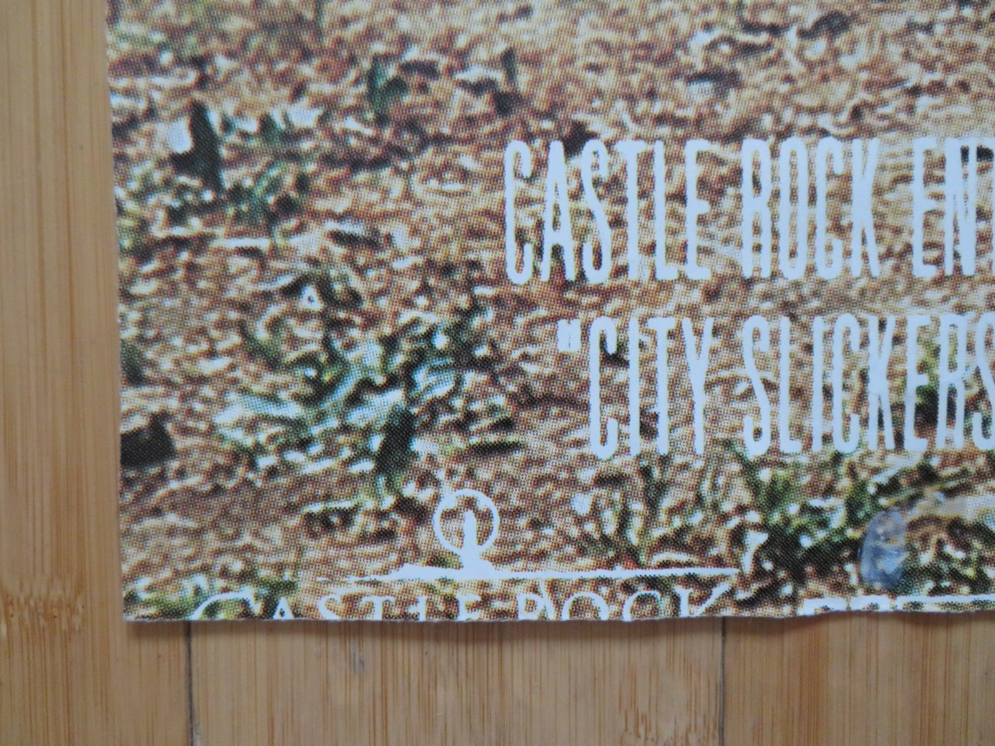 CITY SLICKERS UK 4 SHEET POSTER BILLY CRYSTAL DANIEL STERN 1991 Rendezvous Cinema Movie posters