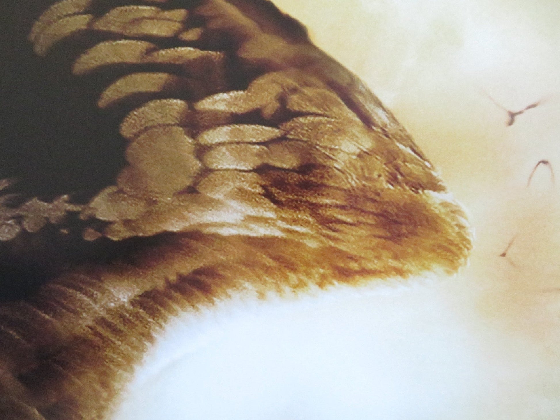 CLASH OF THE TITANS - A US ONE SHEET ROLLED POSTER SAM WORTHINGTON NEESON 2010 Rendezvous Cinema Movie posters