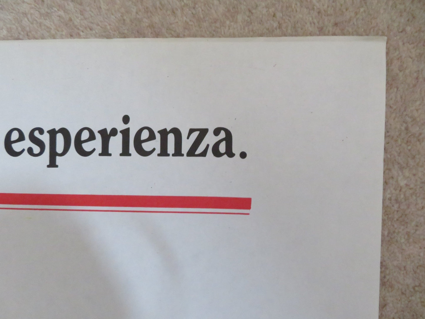 CLASS ITALIAN 2 FOGLIO POSTER ROB LOWE ANDREW MCCARTHY 1983 Rendezvous Cinema Movie posters