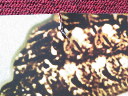 CLEOPATRA UK QUAD (30"x 40") ROLLED POSTER ELIZABETH TAYLOR RICHARD BURTON R2013 Rendezvous Cinema Movie posters