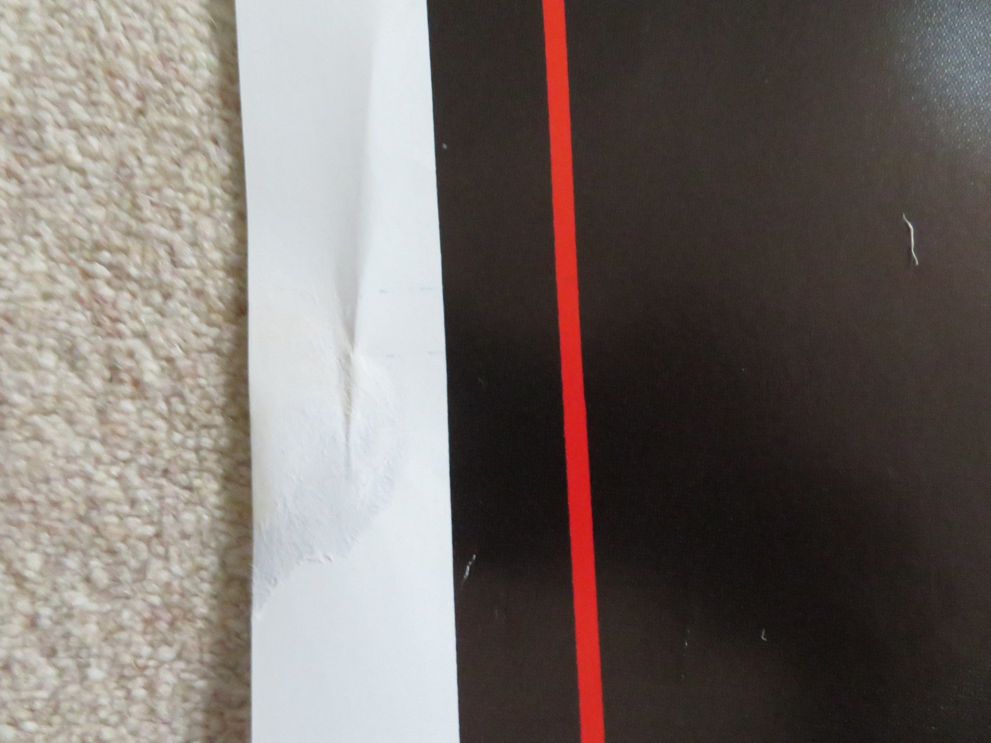 COHEN AND TATE ITALIAN 2 FOGLIO POSTER ROY SCHEIDER ADAM BALDWIN 1988 Rendezvous Cinema Movie posters
