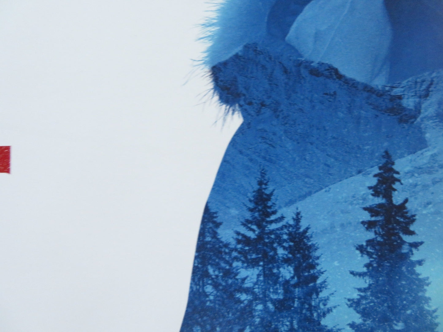 COLD PURSUIT UK QUAD (30"x 40") ROLLED POSTER LIAM NEESON LAURA DERN 2019 Rendezvous Cinema Movie posters