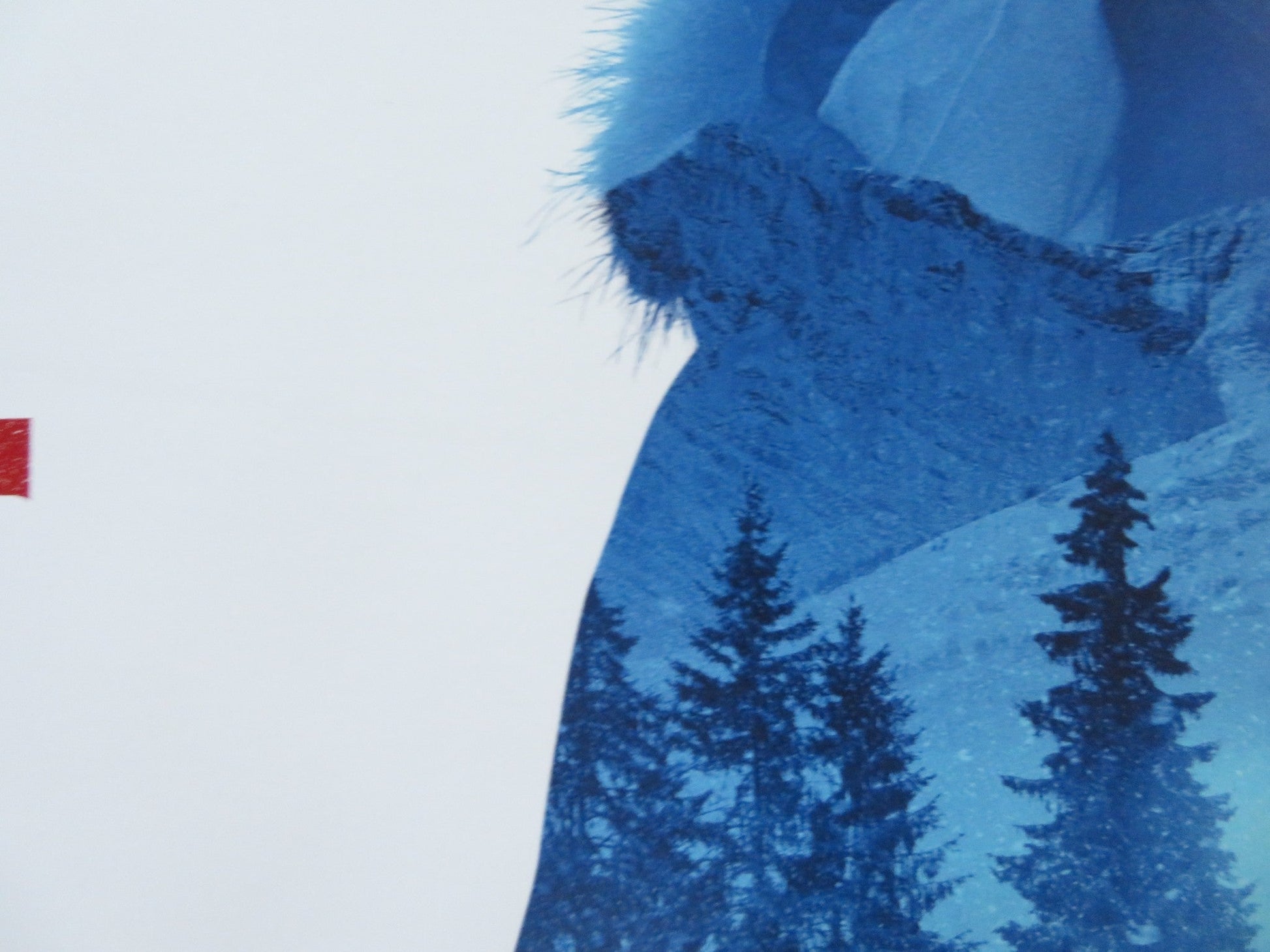 COLD PURSUIT UK QUAD (30"x 40") ROLLED POSTER LIAM NEESON LAURA DERN 2019 Rendezvous Cinema Movie posters