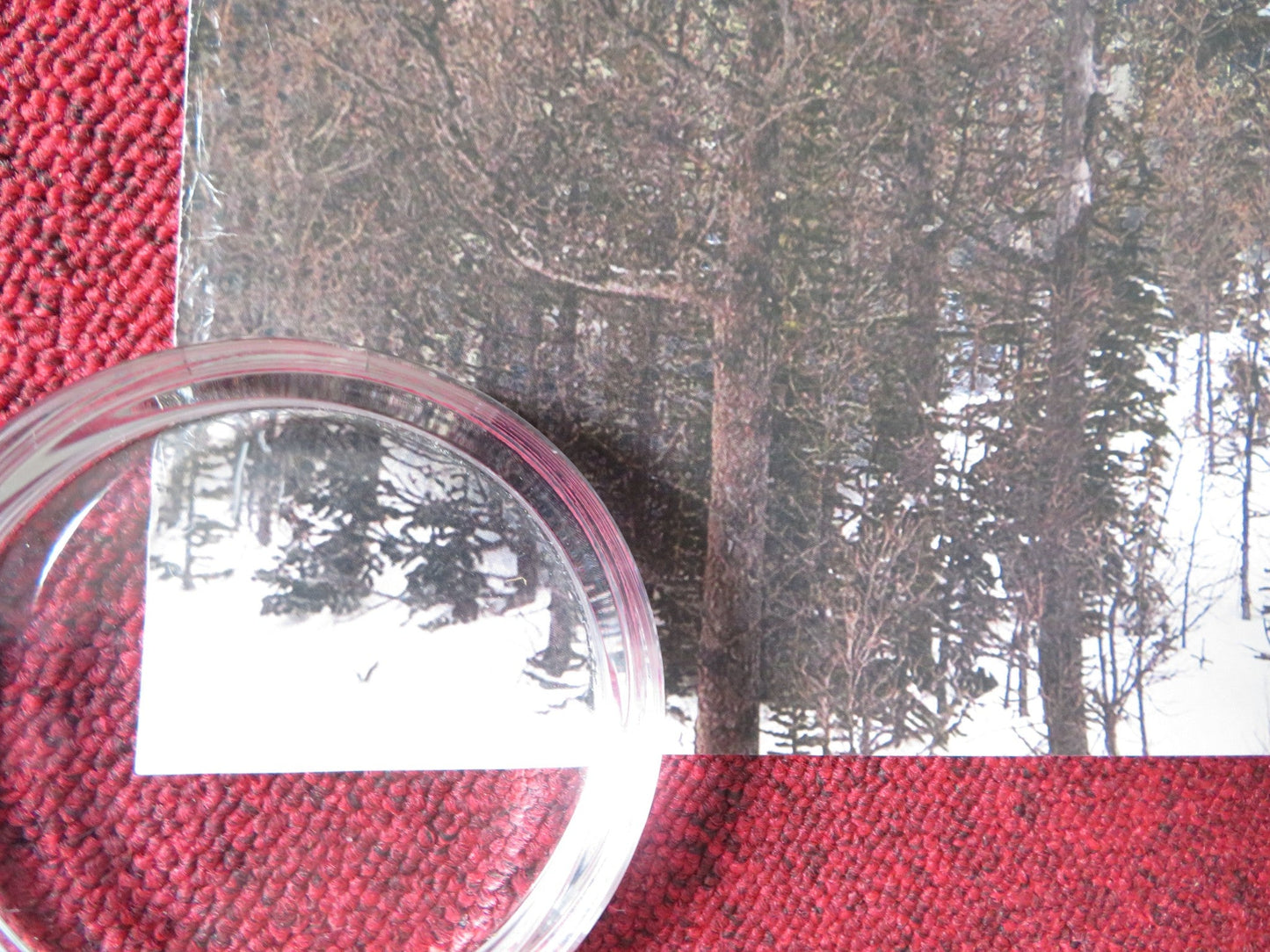 COLD PURSUIT US ONE SHEET ROLLED POSTER LIAM NEESON LAURA DERN 2019 Rendezvous Cinema Movie posters