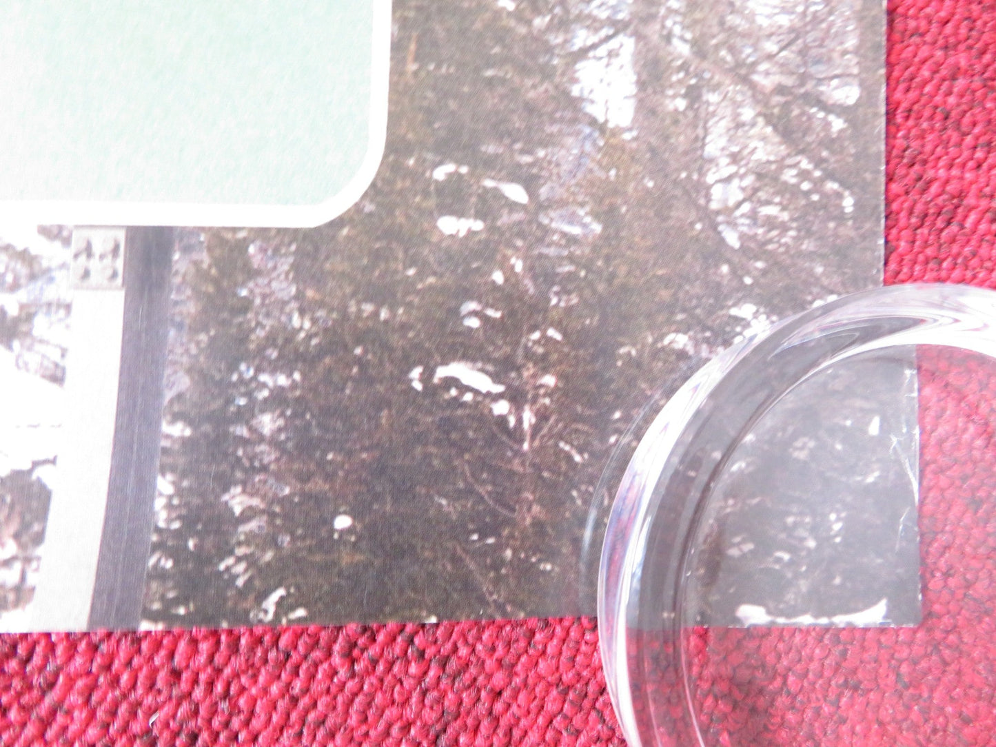 COLD PURSUIT US ONE SHEET ROLLED POSTER LIAM NEESON LAURA DERN 2019 Rendezvous Cinema Movie posters