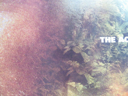 COLLATERAL DAMAGE UK QUAD (30"x 40") ROLLED POSTER SCHWARZENEGGER FRANCES NERI Rendezvous Cinema Movie posters