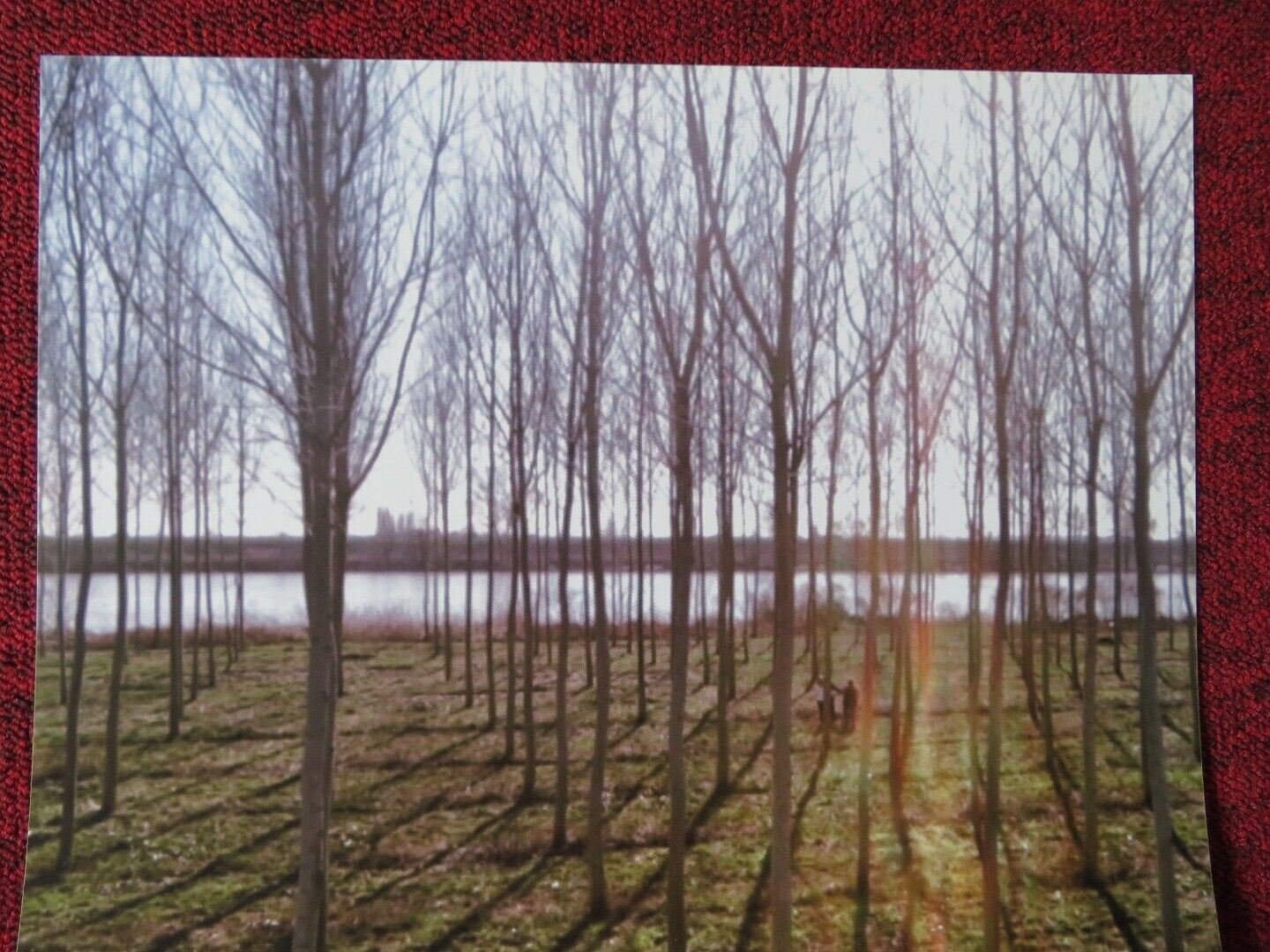 COLPA DI COMUNISMO ITALIAN LOCANDINA (26.5"x12.5") POSTER ANA TURBATU 2015 Movie posters