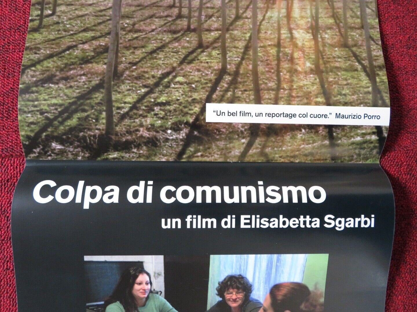 COLPA DI COMUNISMO ITALIAN LOCANDINA (26.5"x12.5") POSTER ANA TURBATU 2015 Movie posters