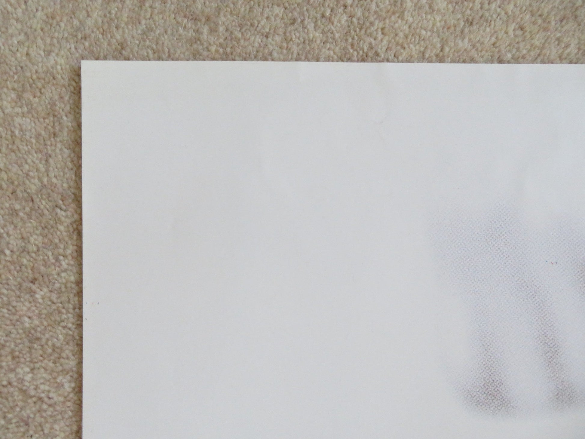 CON LA TESTA TRA LE STELLE / AMERICAN WOMEN ITALIAN 2 FOGLIO POSTER I. HART 2000 Rendezvous Cinema Movie posters