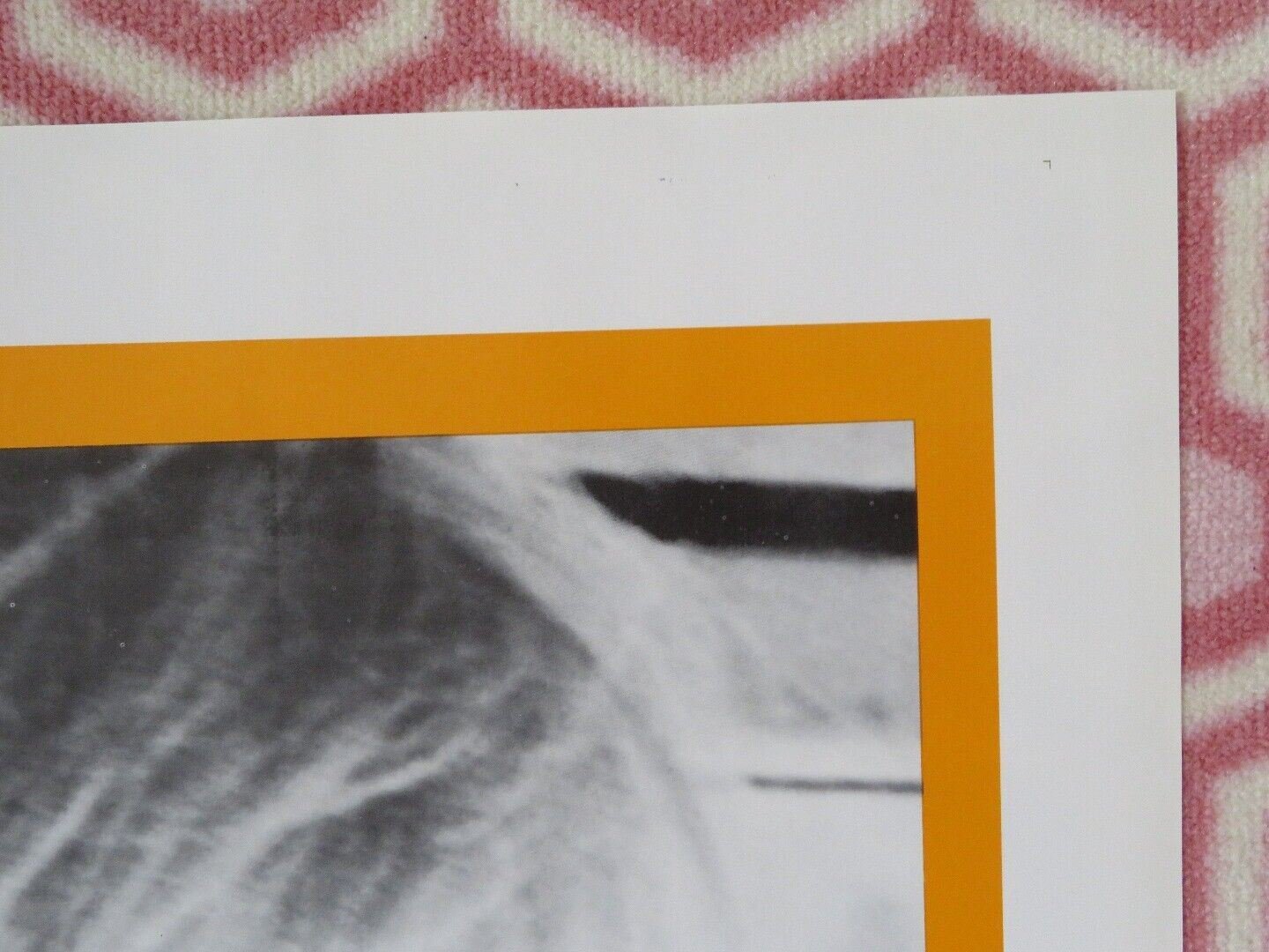 CONRACK US ONE SHEET POSTER JON VOIGHT PAUL WINFIEL 1974 Movie posters