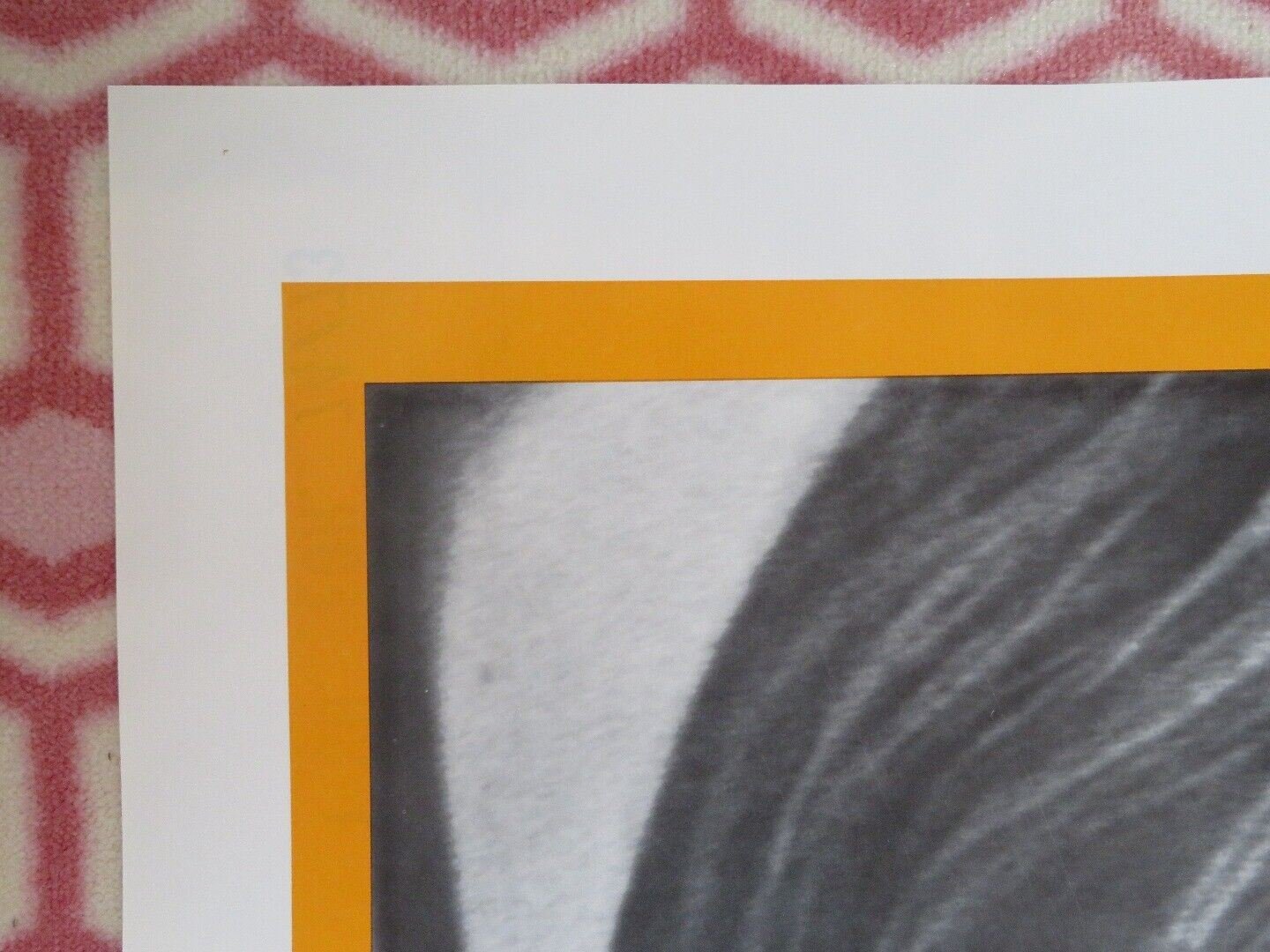 CONRACK US ONE SHEET POSTER JON VOIGHT PAUL WINFIEL 1974 Movie posters