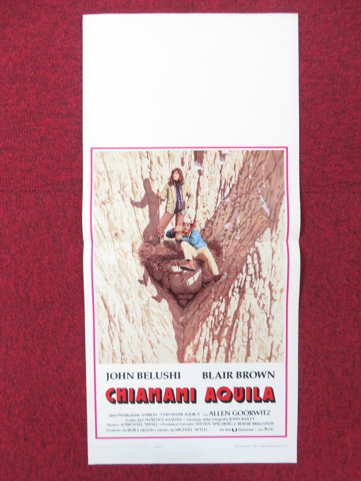 CONTINENTAL DIVIDE ITALIAN LOCANDINA POSTER JOHN BELUSHI BLAIR BROWN 1982 Rendezvous Cinema Movie posters