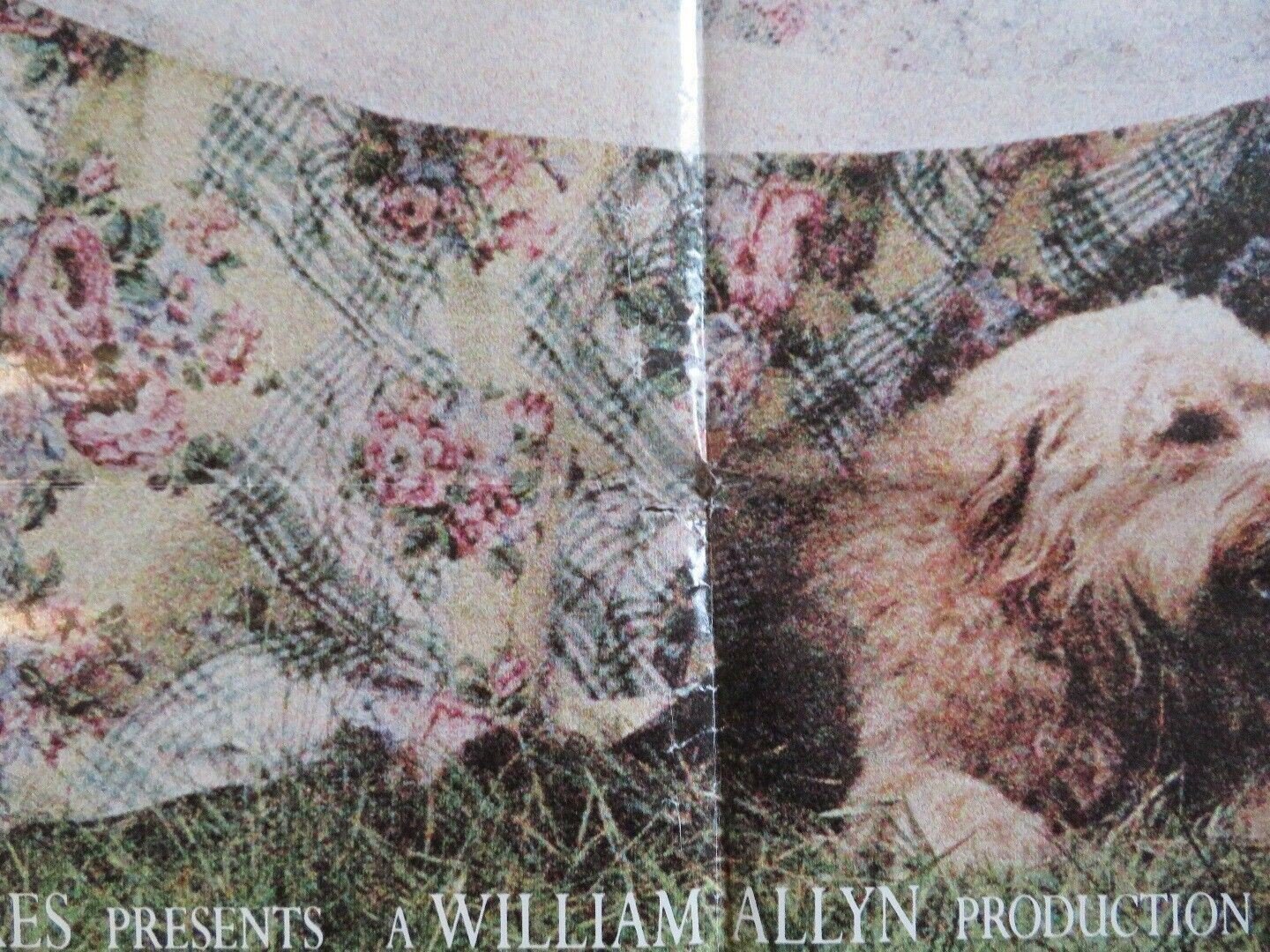 COUSINS US ONE SHEET POSTER TED DANSON ISABELLA ROSSELLINI 1989 Movie posters