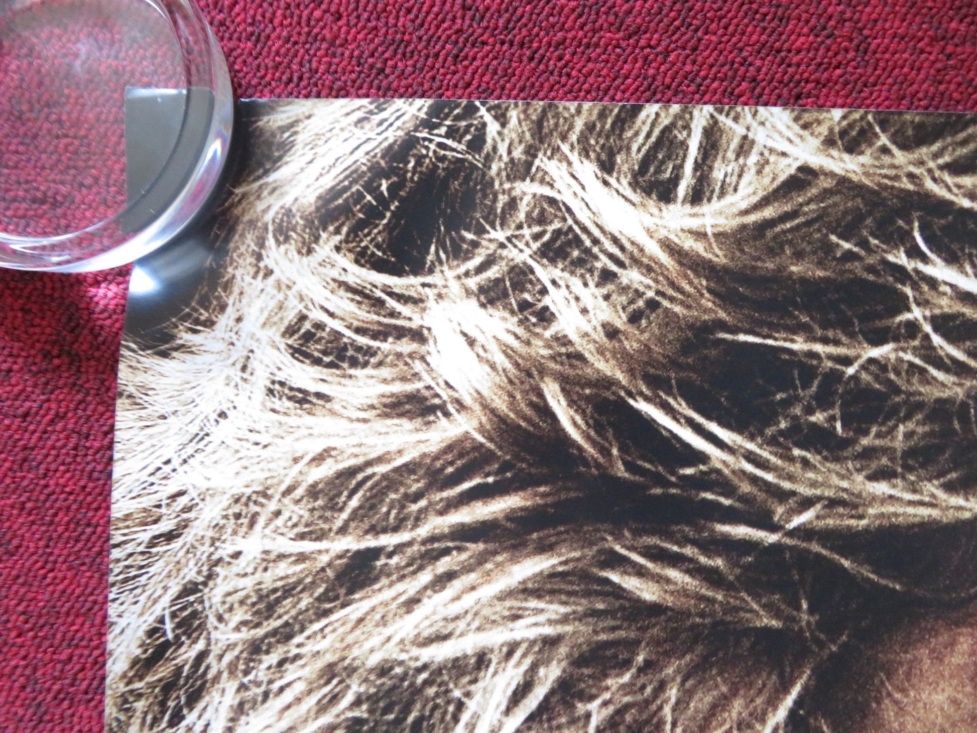 CRAZY HEART UK QUAD (30"x 40") ROLLED POSTER JEFF BRIDGES JAMES KEANE 2009 Rendezvous Cinema Movie posters