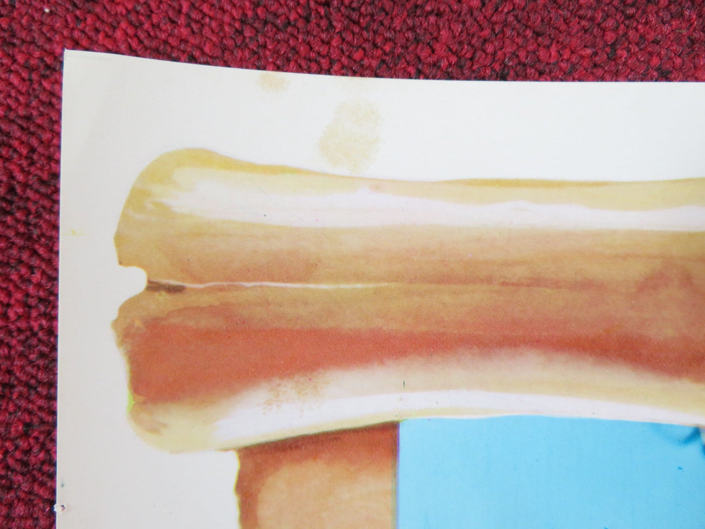 CRIMSON PIRATE - G ITALIAN FOTOBUSTA POSTER BURT LANCASTER NICK CRAVAT 1952R Rendezvous Cinema Movie posters