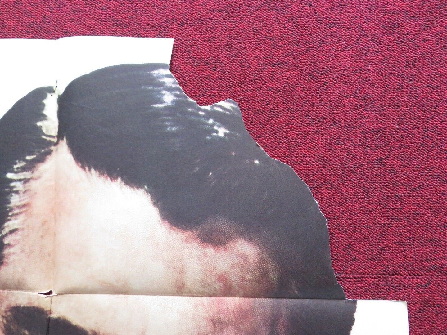 CRISIS FOLDED U.S ONE SHEET POSTER CARY GRANT JOSE FERRER 1950 Movie posters