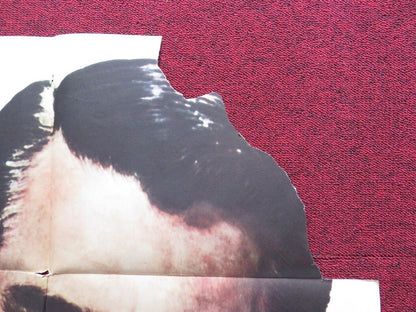 CRISIS FOLDED U.S ONE SHEET POSTER CARY GRANT JOSE FERRER 1950 Movie posters