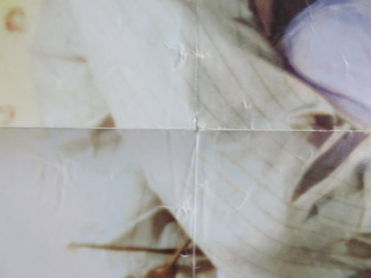 CROSS CREEK US ONE SHEET ROLLED POSTER MARY STEENBURGEN RIP TORN 1983 Rendezvous Cinema Movie posters