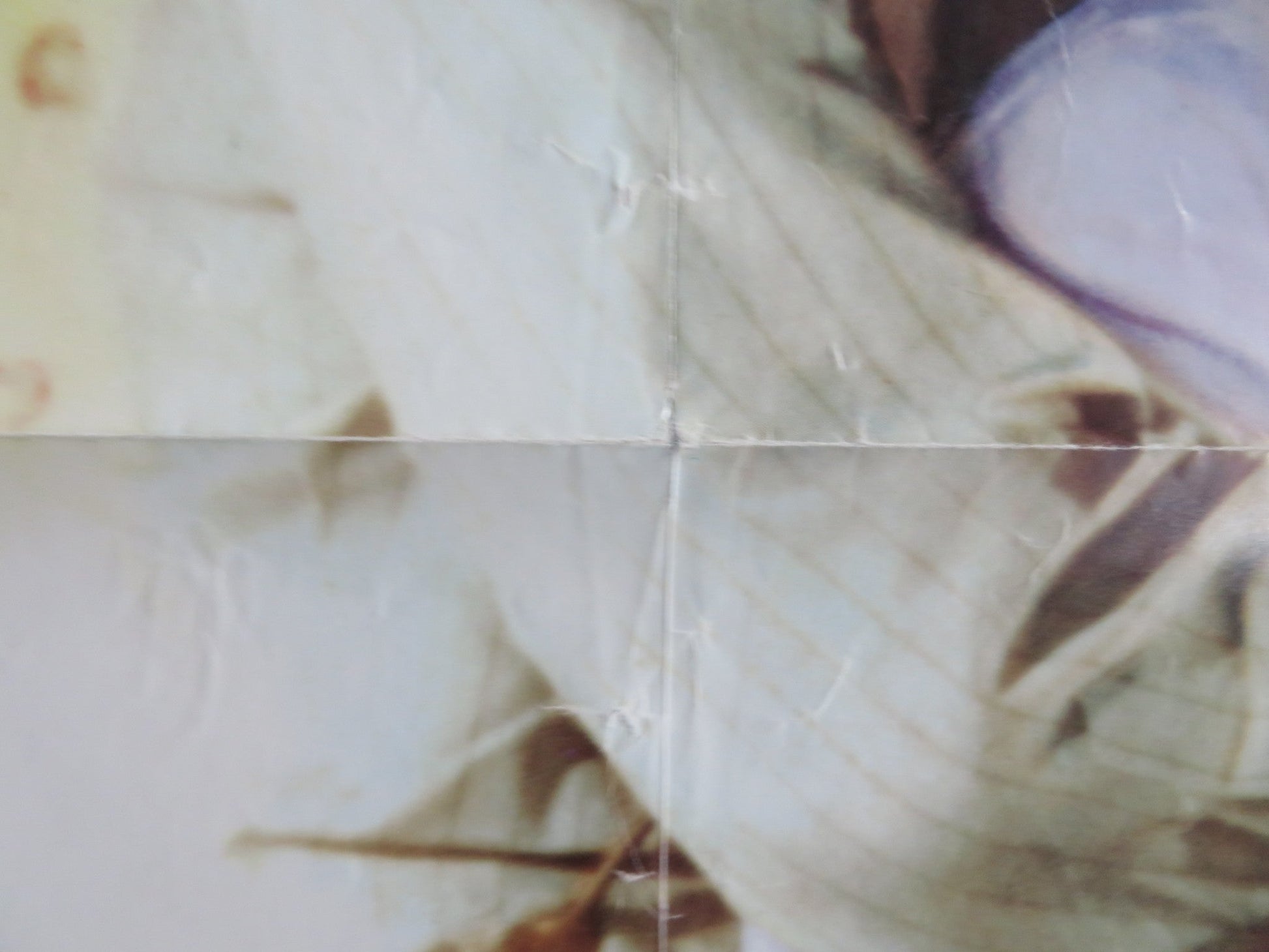 CROSS CREEK US ONE SHEET ROLLED POSTER MARY STEENBURGEN RIP TORN 1983 Rendezvous Cinema Movie posters