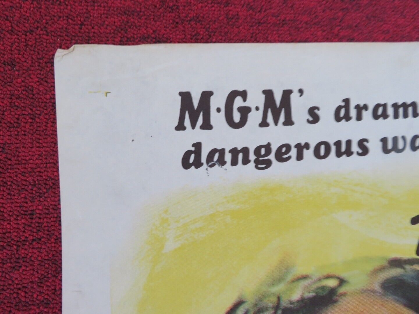 CRY OF THE HUNTED FOLDED US ONE SHEET POSTER VITTORIO GASSMAN 1953 Movie posters