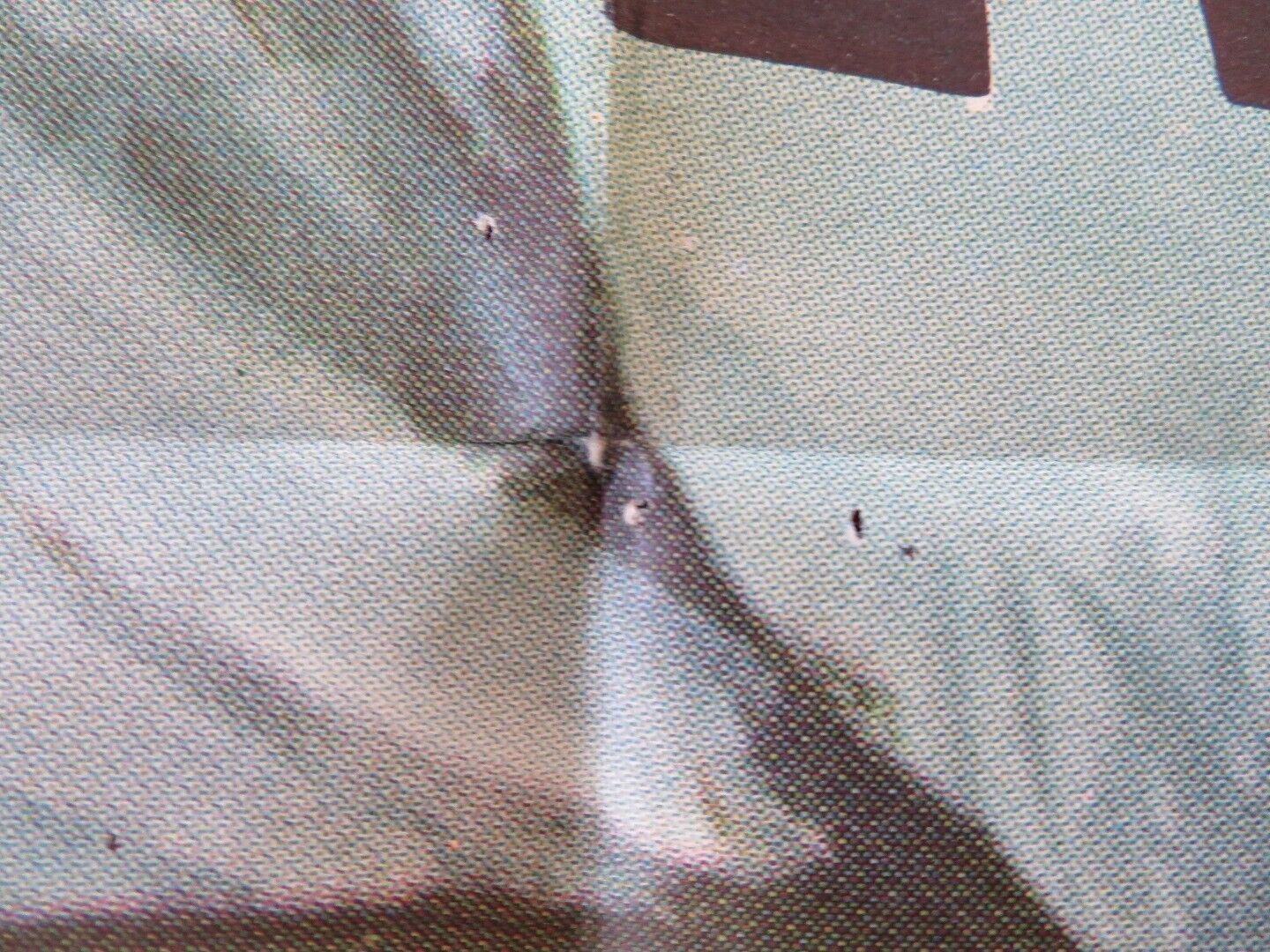 CRY OF THE HUNTED FOLDED US ONE SHEET POSTER VITTORIO GASSMAN 1953 Movie posters