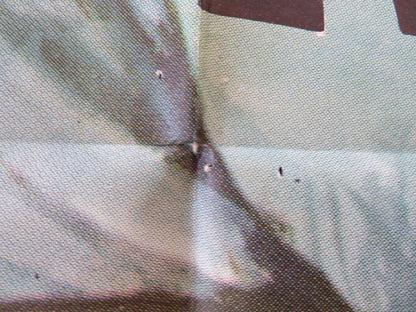 CRY OF THE HUNTED FOLDED US ONE SHEET POSTER VITTORIO GASSMAN 1953 Movie posters