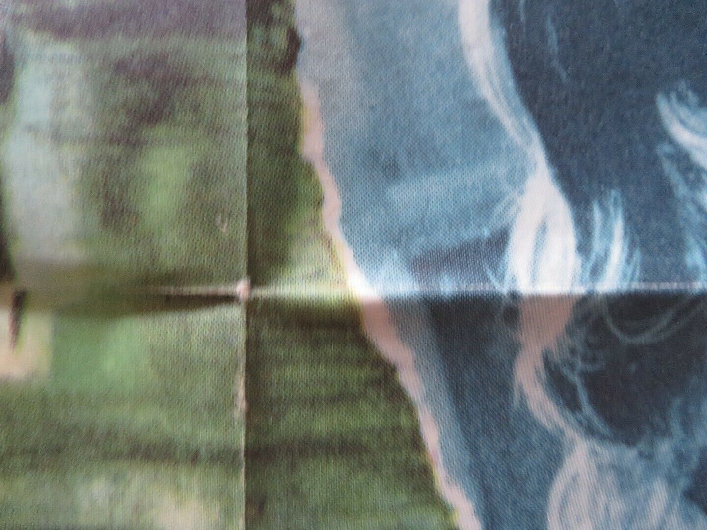 CRY OF THE HUNTED FOLDED US ONE SHEET POSTER VITTORIO GASSMAN BARRY SULLIVAN '53 Movie posters