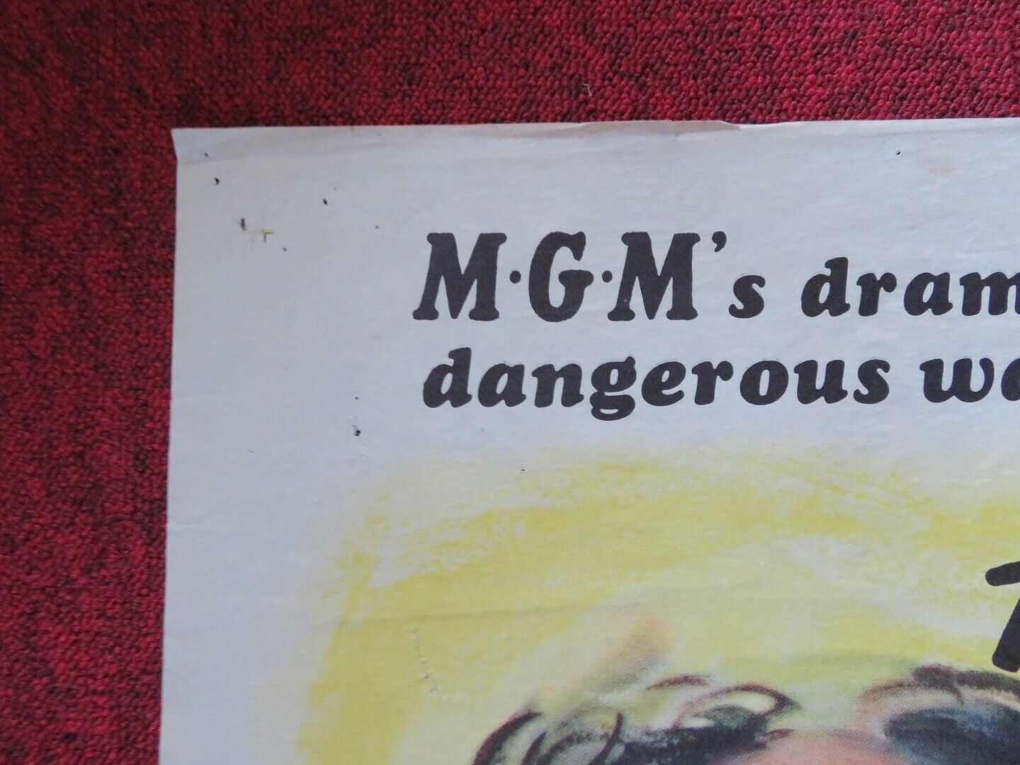 CRY OF THE HUNTED FOLDED US ONE SHEET POSTER VITTORIO GASSMAN BARRY SULLIVAN '53 Movie posters