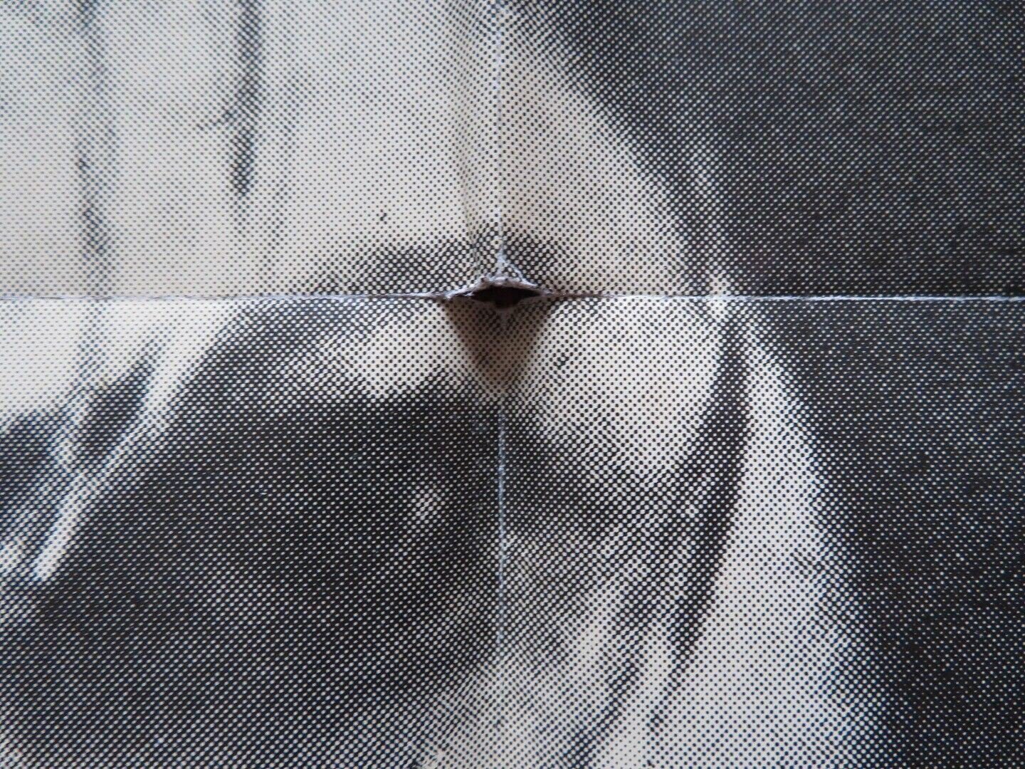 CRY RAPE / THE BRUTES FOLDED US ONE SHEET POSTER HELGA ANDERS K. LOWITSCH 1970 - Rendezvous Cinema