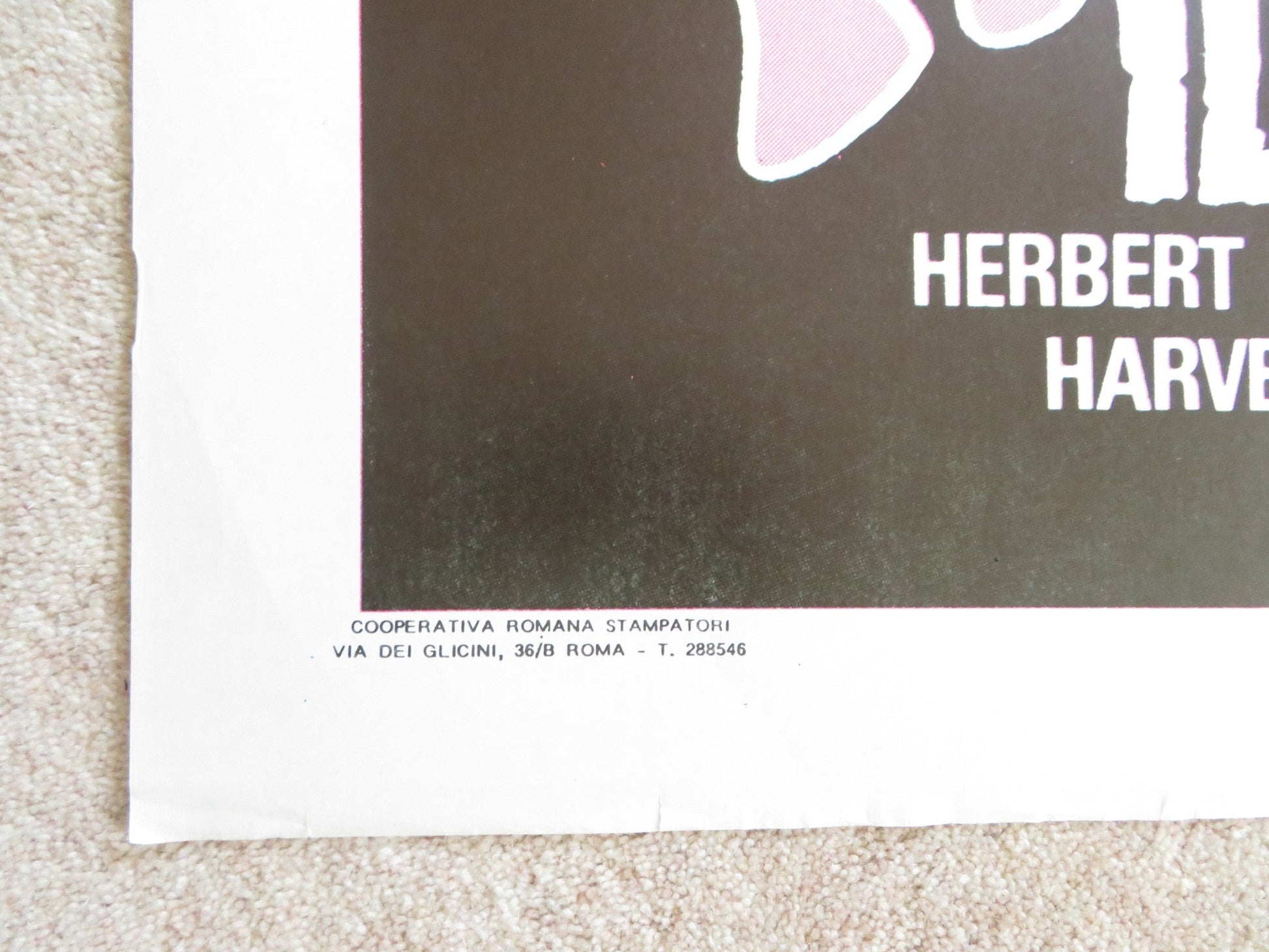 CURSE OF THE PINK PANTHER ITALIAN 2 FOGLIO POSTER DAVID NIVEN ROBERT WAGNER 1983 Rendezvous Cinema Movie posters