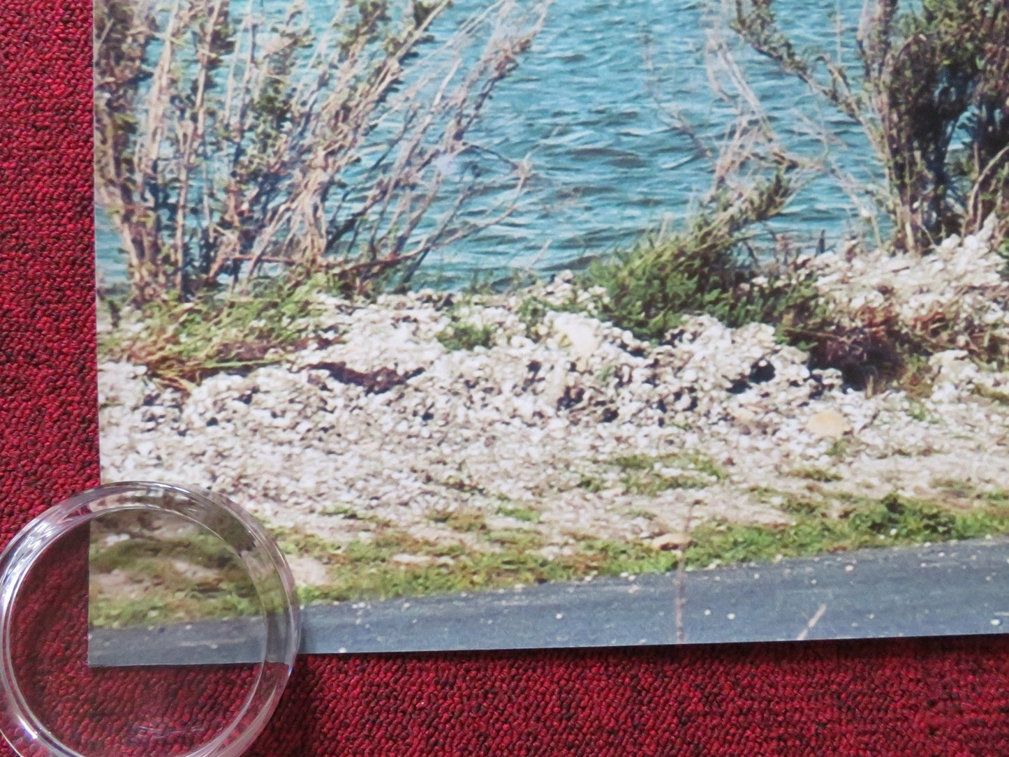 CYCLING WITH MOLIERE - B UK QUAD (30"x 40") ROLLED POSTER FABRICE LUCHINI 2013 Rendezvous Cinema Movie posters